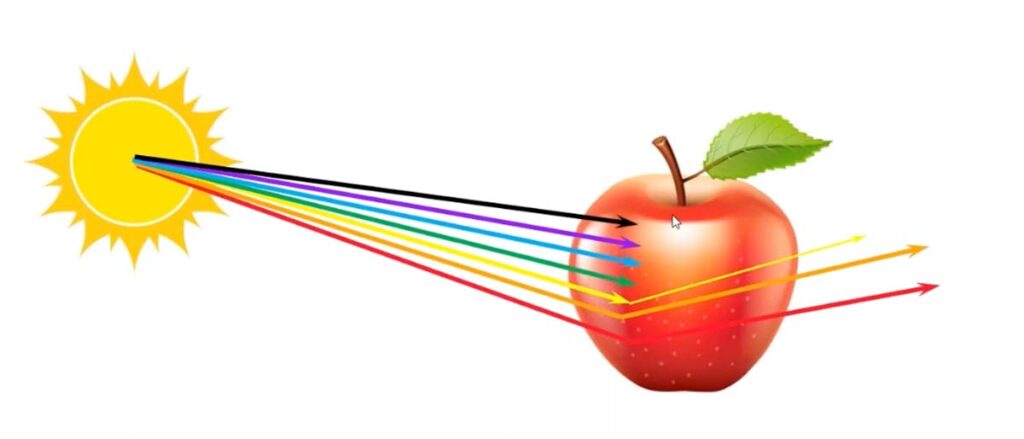 Illustration of light spectrum. 