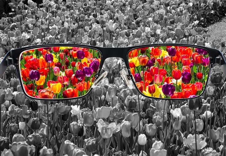 Eyeglasses with colorful tulips on the lenses on a background of black and white tulips.