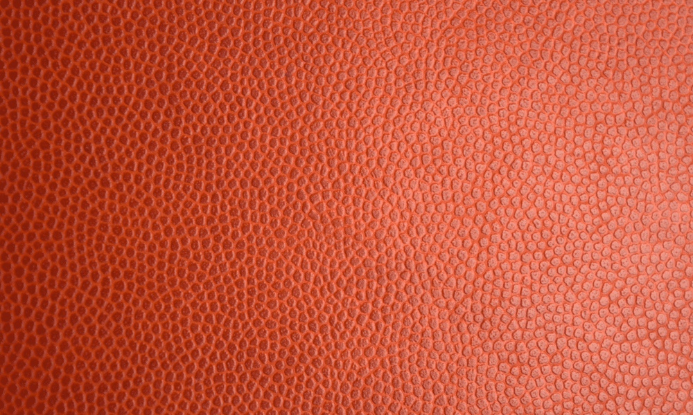 artificial leather close up 1600